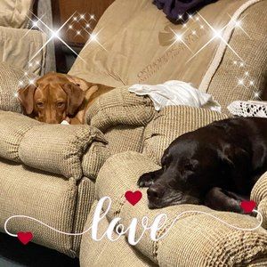 Meet your Posher, Deanna